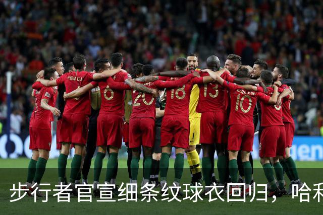 步行者官宣细条纹球衣回归，哈利伯顿难掩兴奋